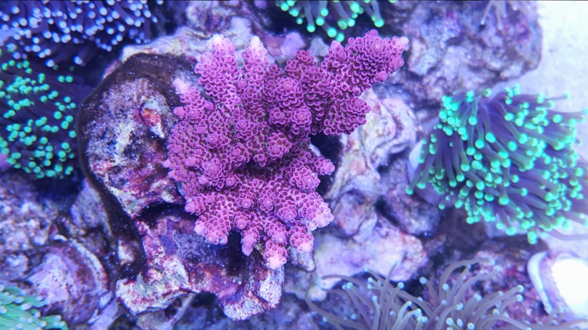 20180904_132422.jpg
