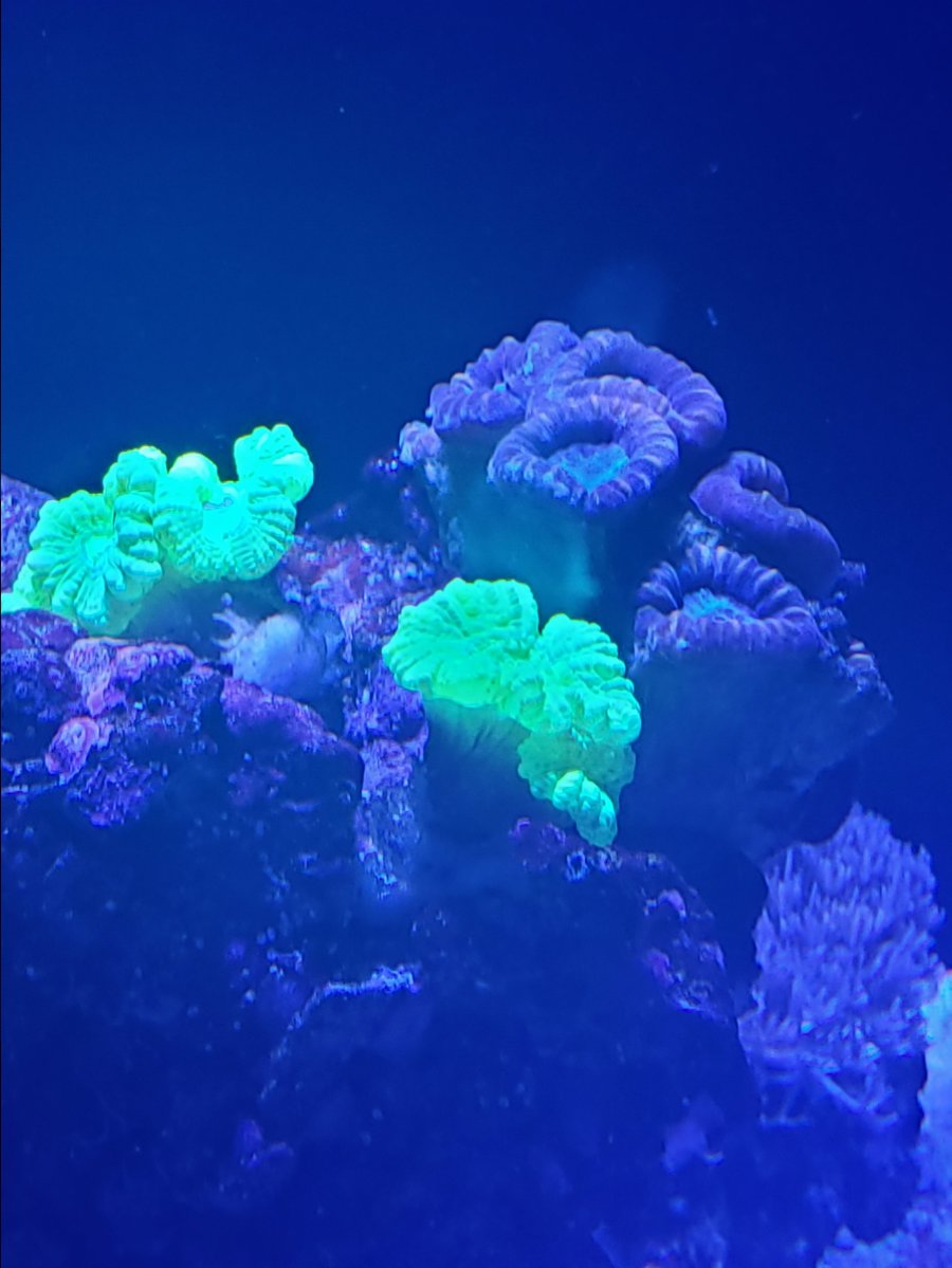 20180905_192916.jpg