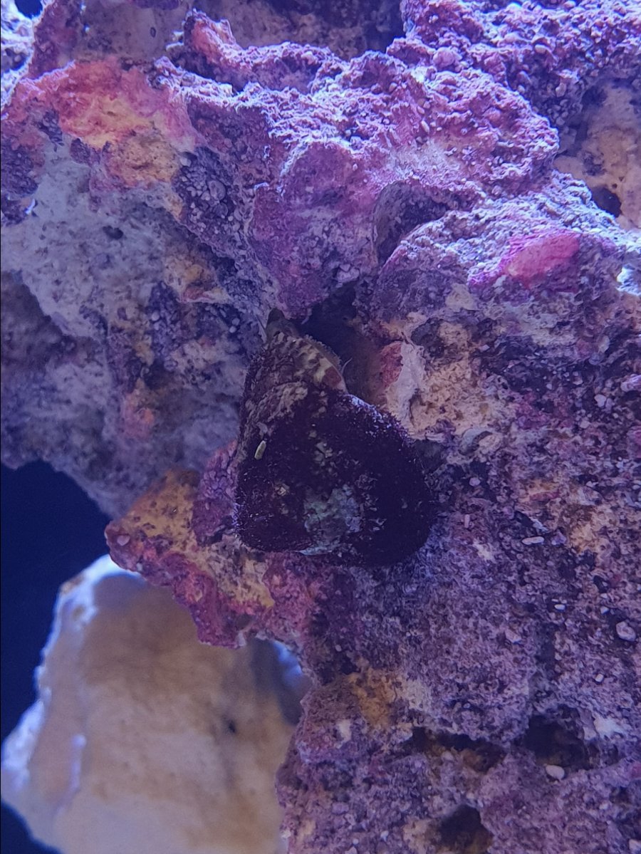 20180905_194251.jpg