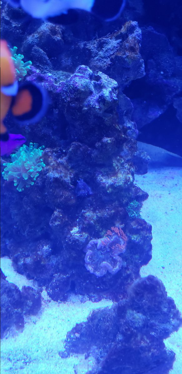 20180907_165419.jpg