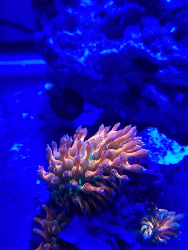 20180909_192033.jpeg