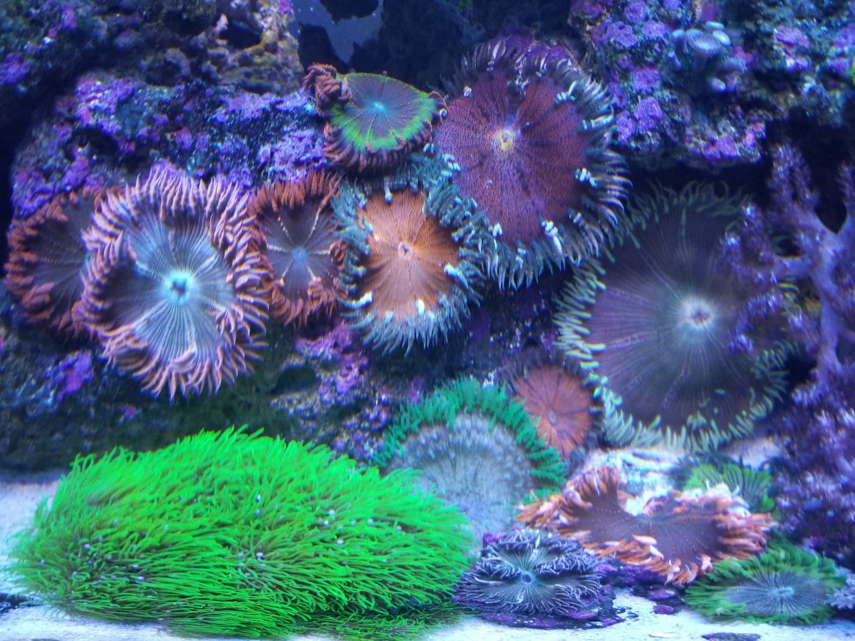 20180910_130635.jpg