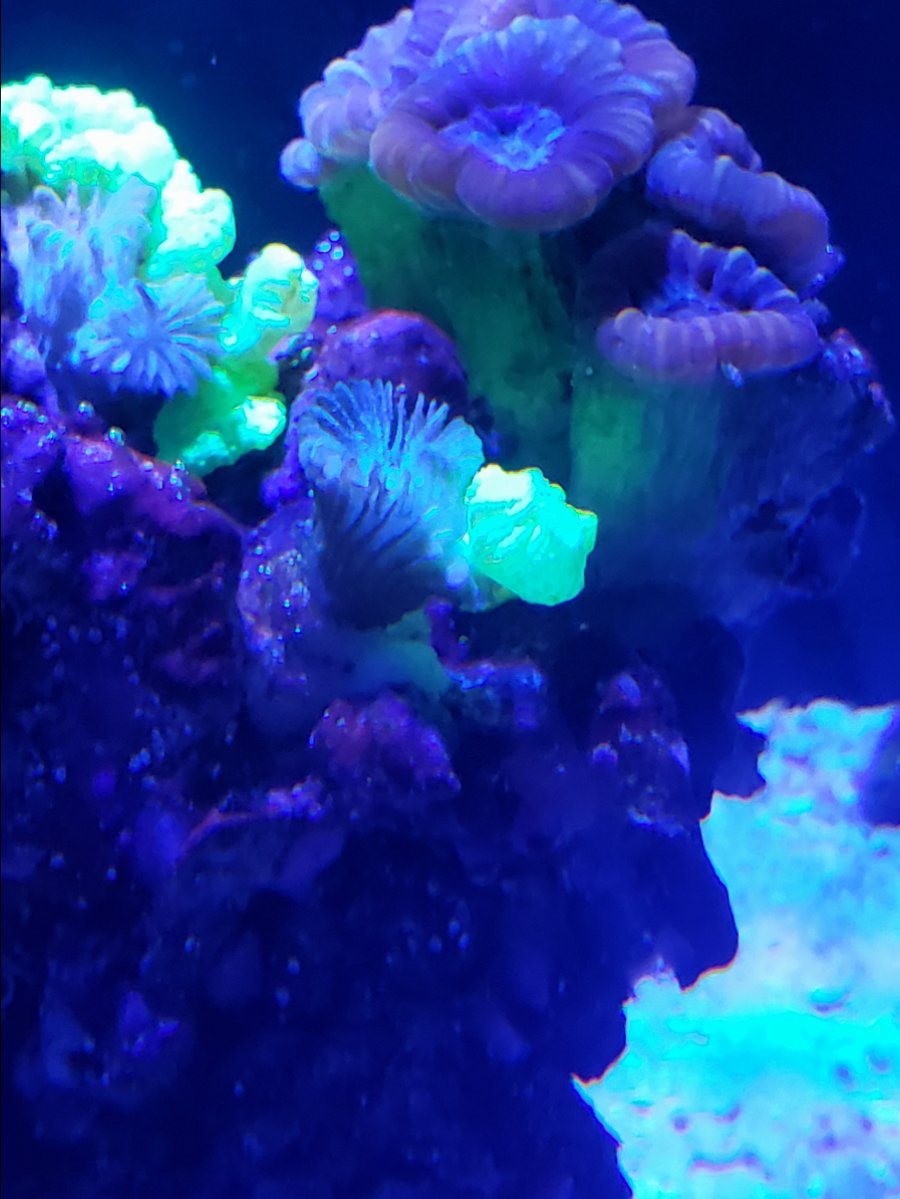 20180910_202658.jpg