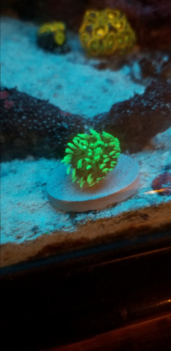 20180910_210116.jpg
