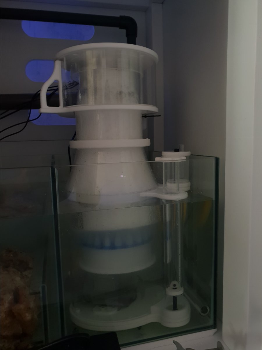20180913_150335.jpg