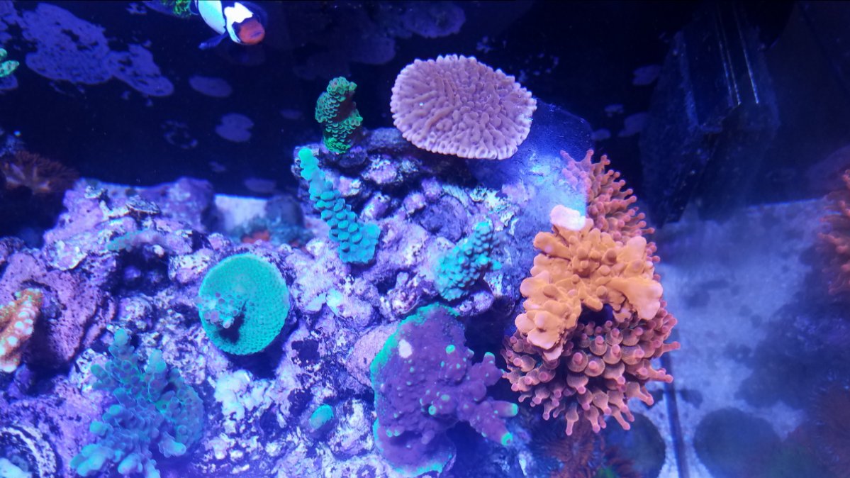 20180914_075226.jpg