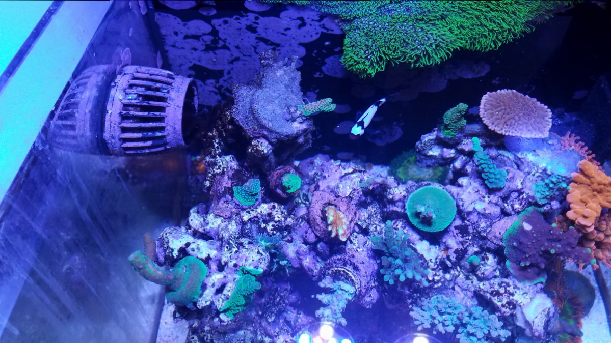 20180914_075235.jpg