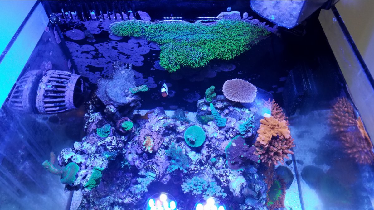 20180914_075239.jpg