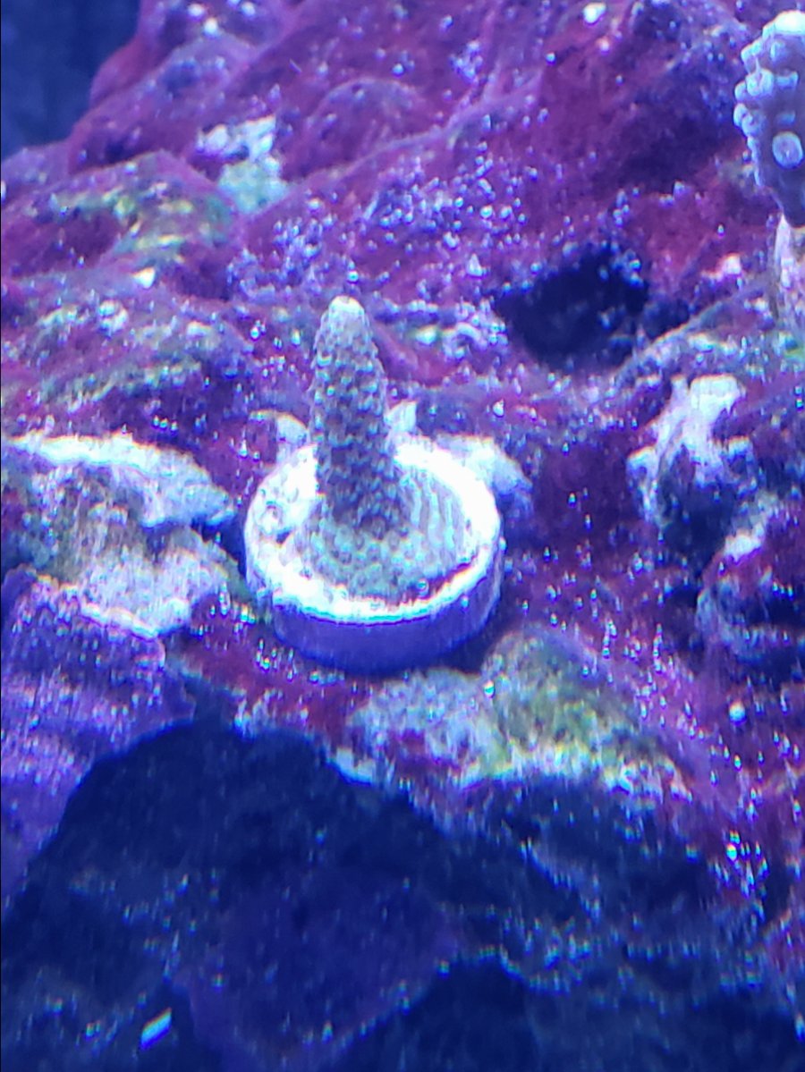 20180915_162615.jpg