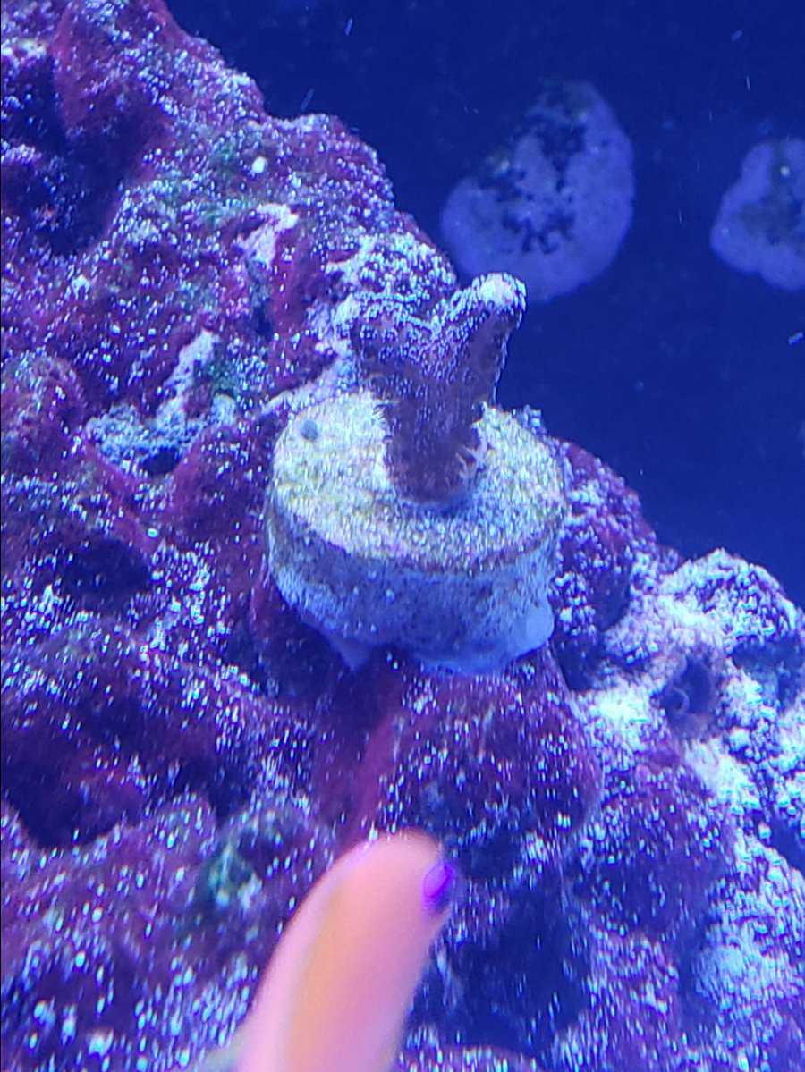 20180915_162638.jpg