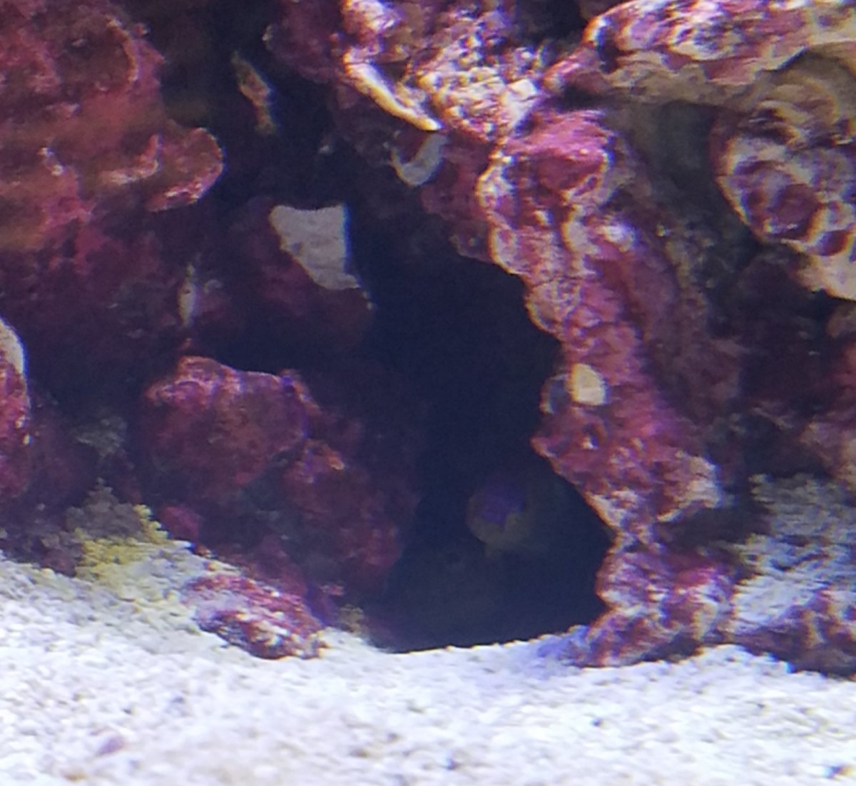 20180916_162118.jpg