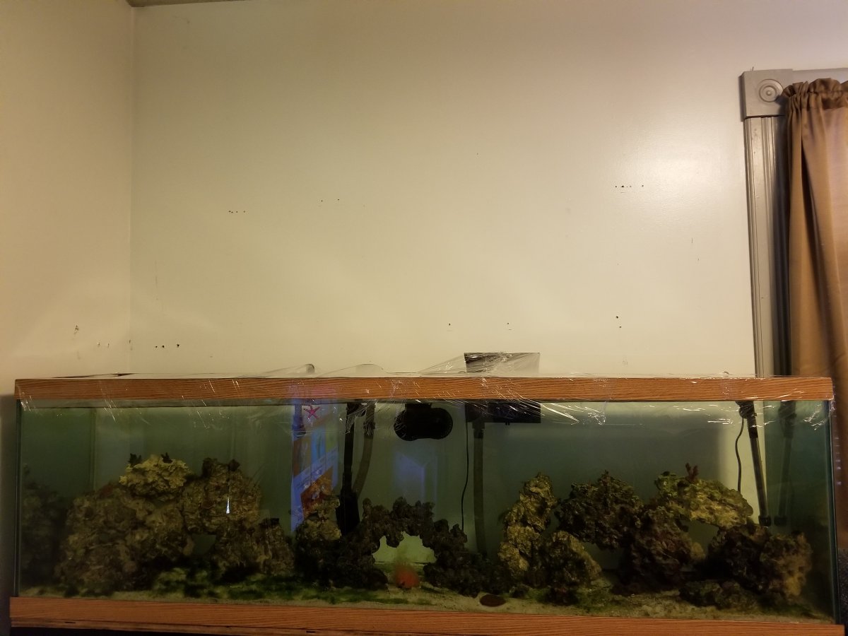 20180916_174924.jpg