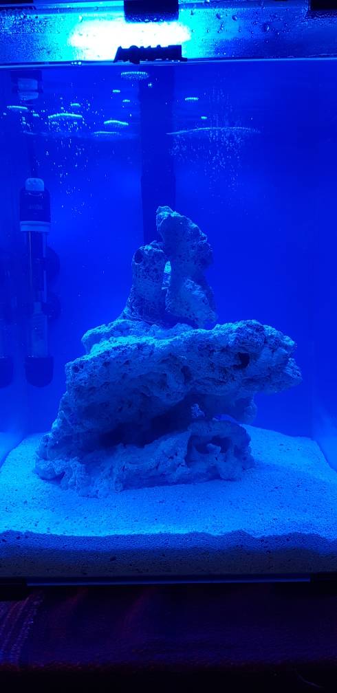 20180916_175326.jpeg