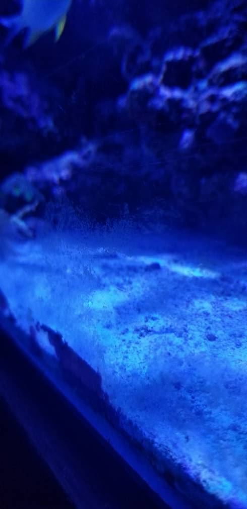 20180917_190147.jpeg