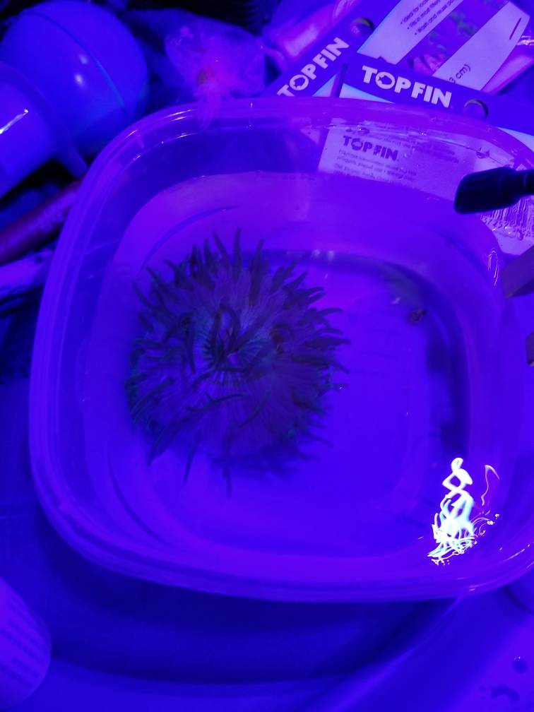 20180917_204723.jpeg