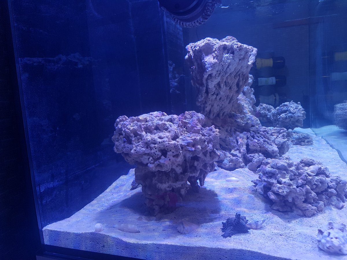20180919_175334.jpg