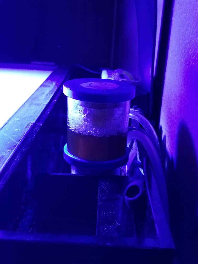 20180919_194916.jpeg