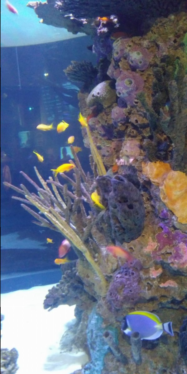 20180921_141213.jpg
