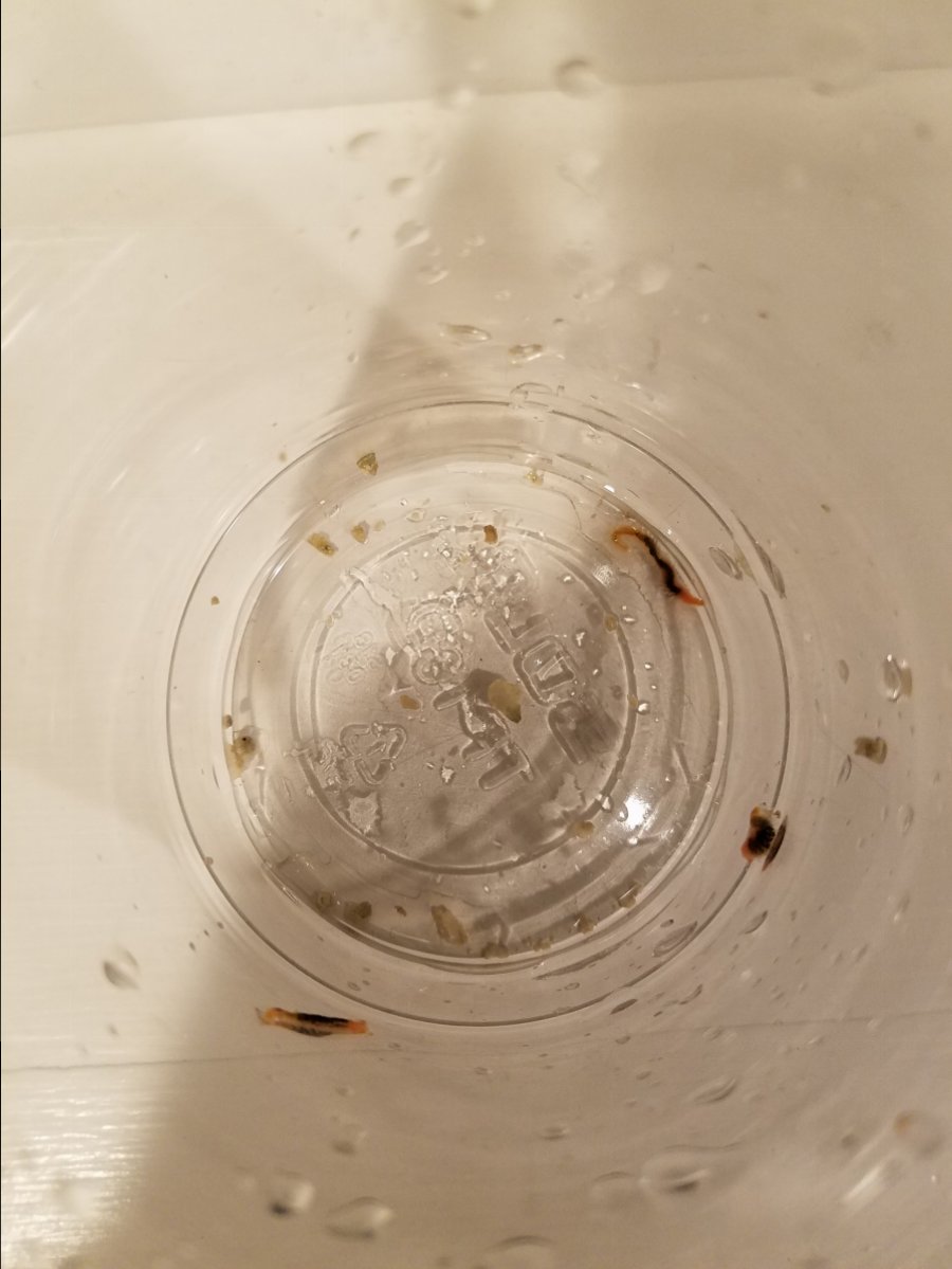 20180921_224749.jpg
