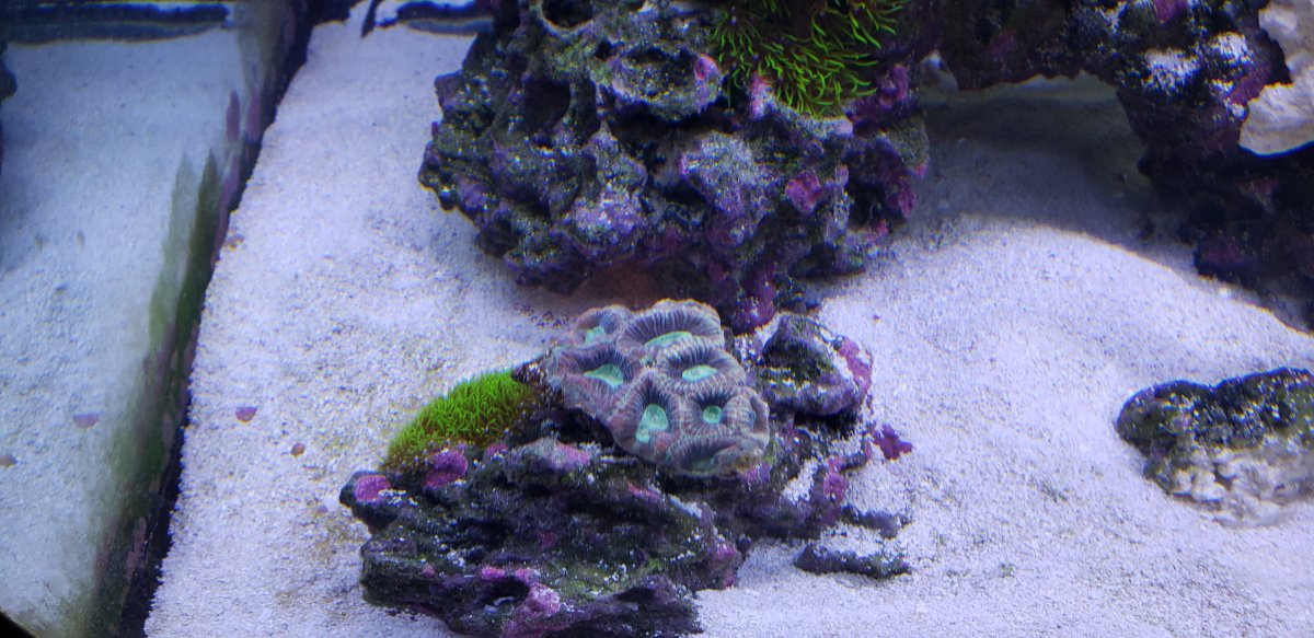 20180924_165524.jpg