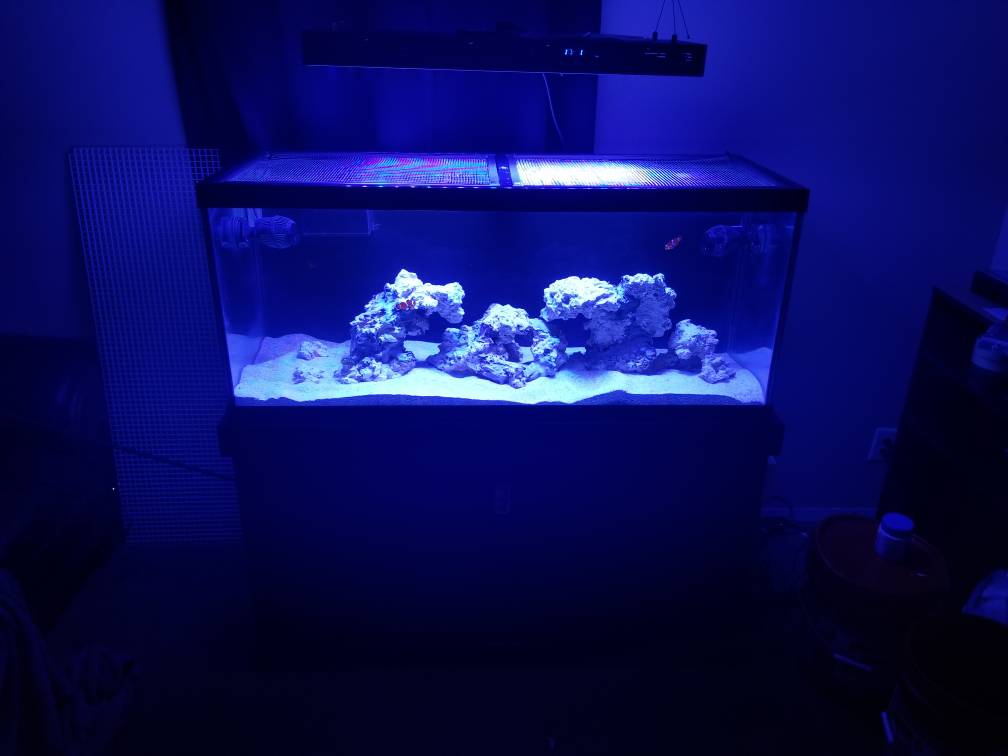 20180924_171158.jpeg