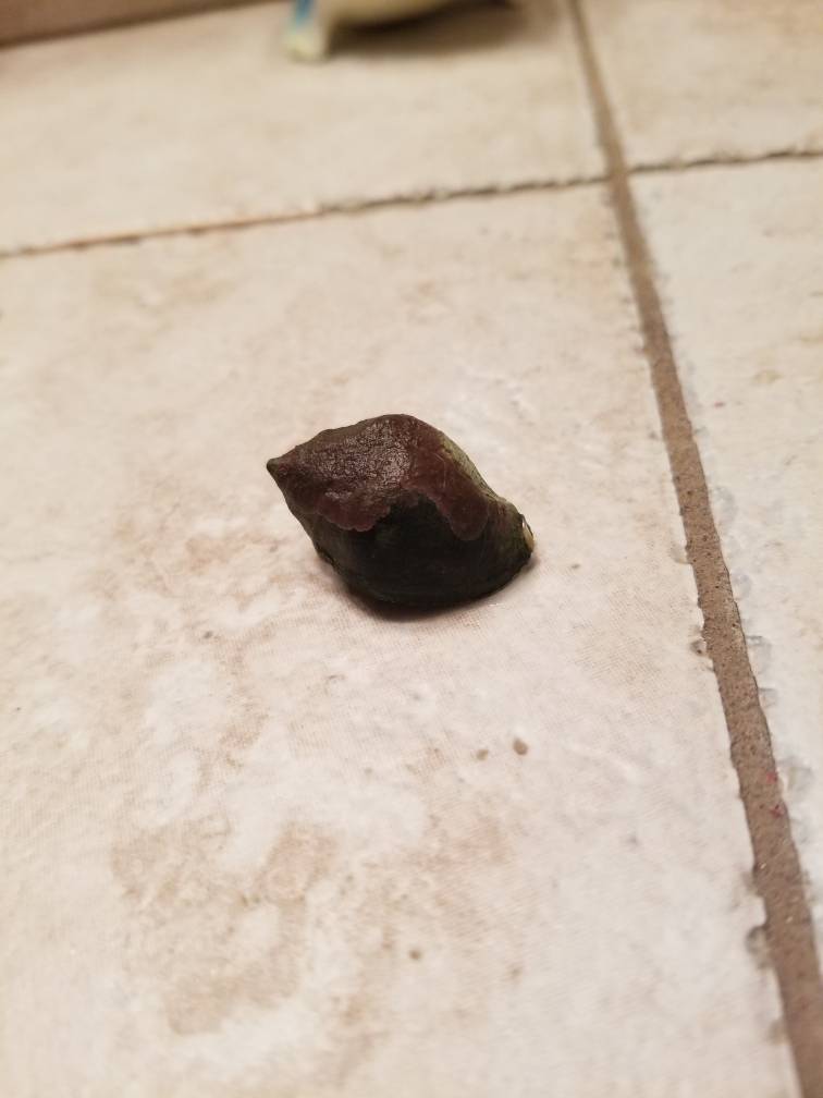 20180924_175436.jpeg