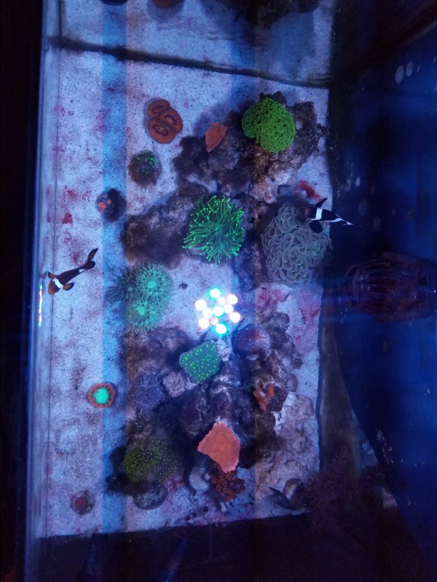 20180924_181827.jpg