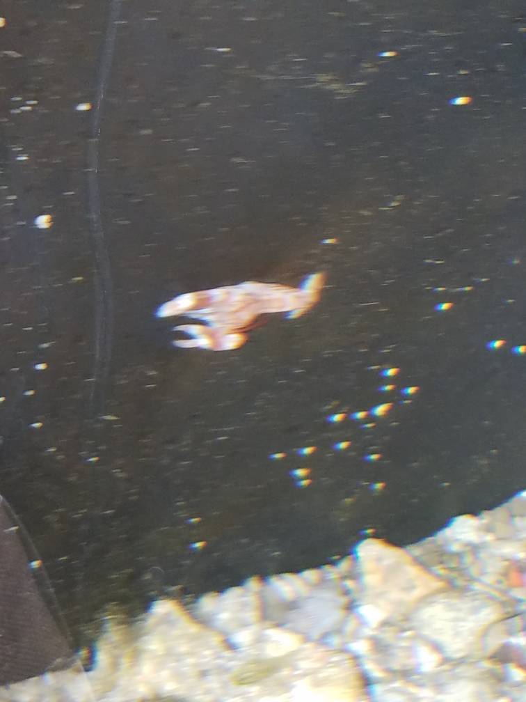 20180926_065221.jpeg