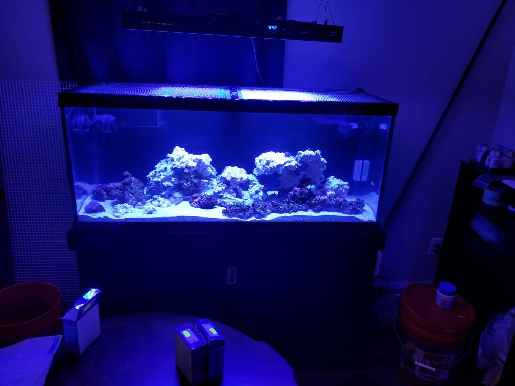 20180926_184905.jpeg