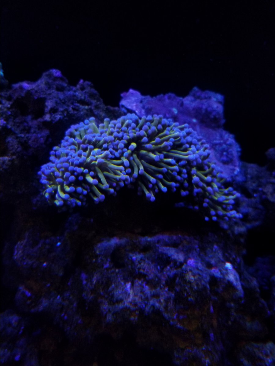 20180926_192821.jpg
