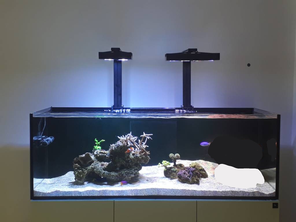 20180927_214457.jpg