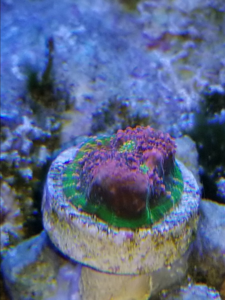 20180929_150003.jpg