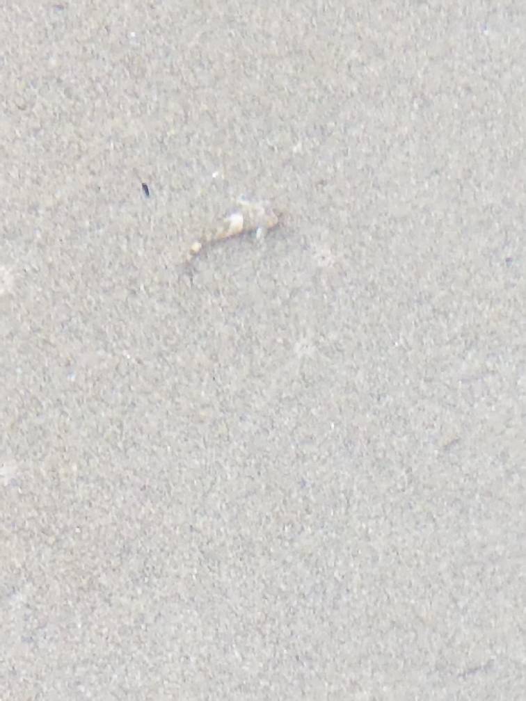 20180930_093757.jpeg