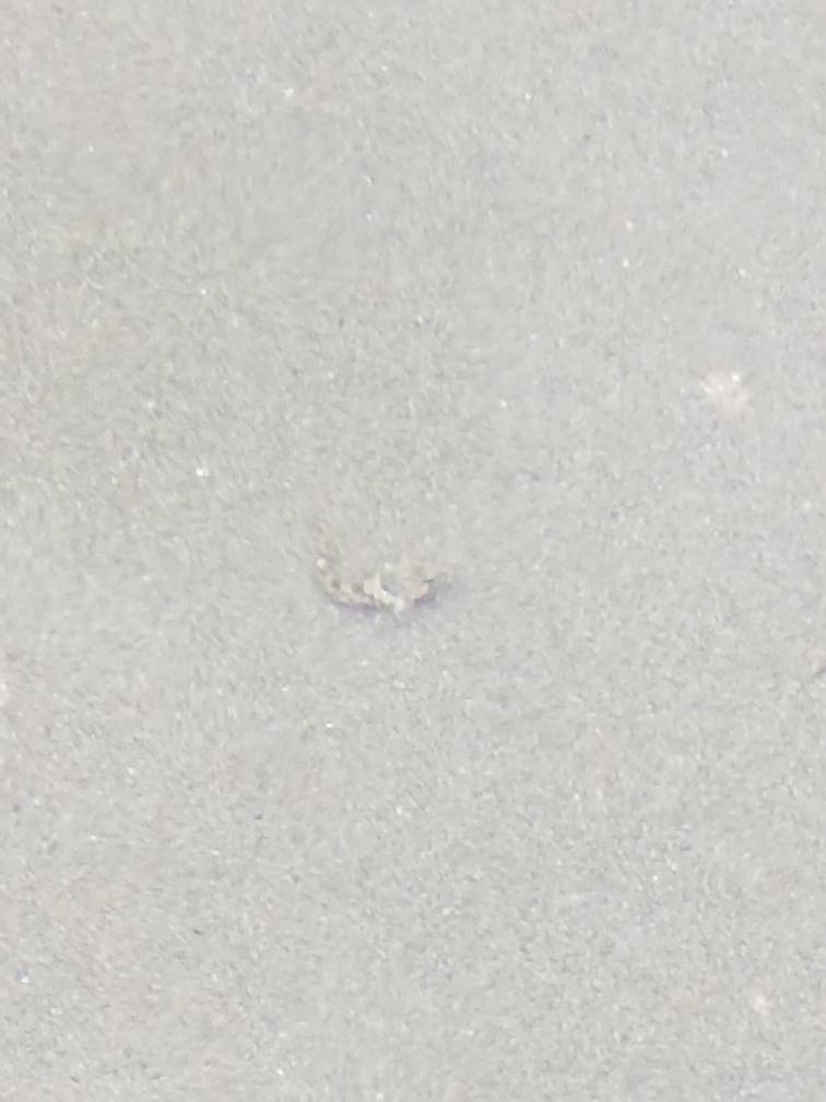 20180930_093818.jpeg