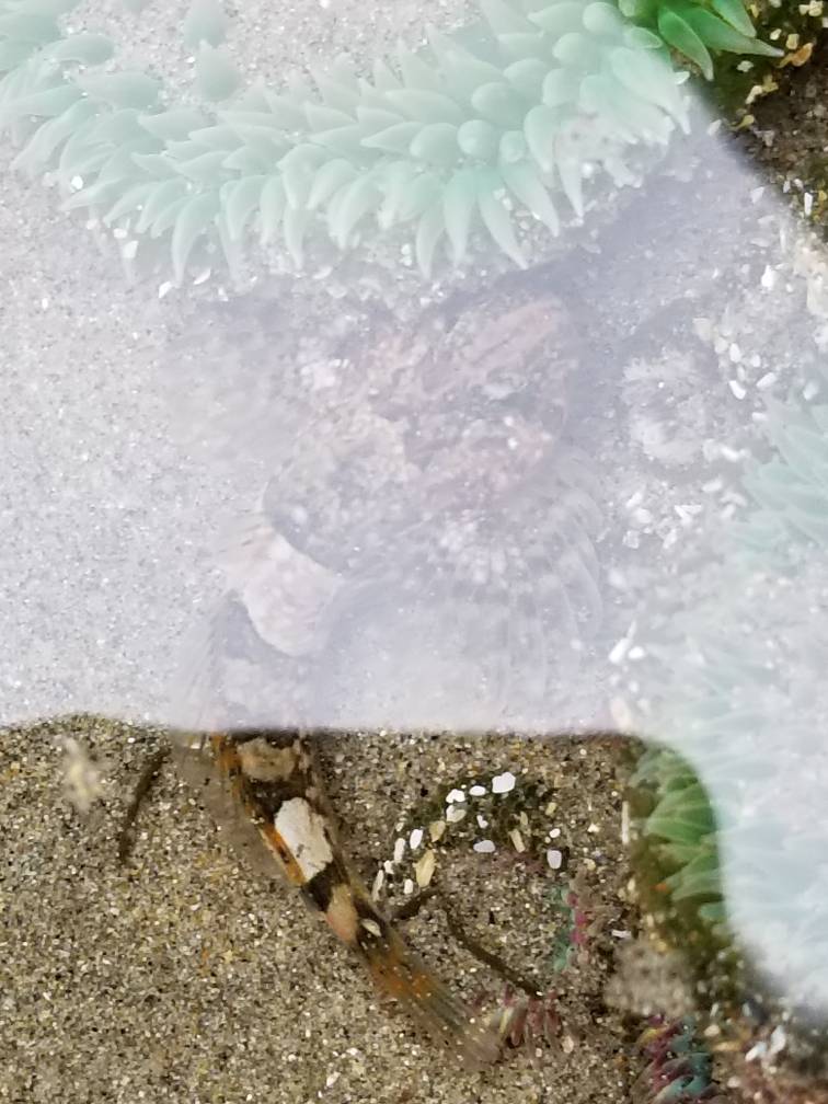 20180930_094411.jpeg