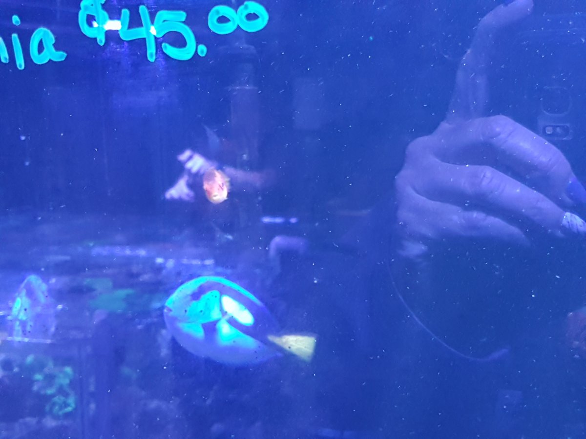 20180930_131228.jpg