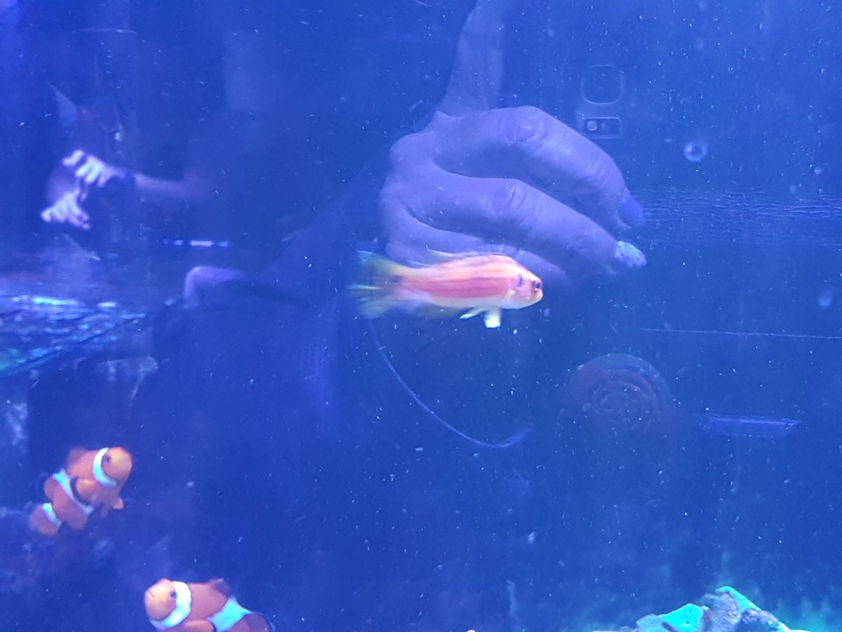 20180930_131229.jpg