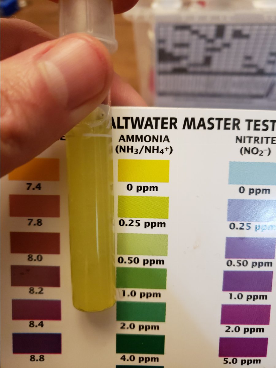 20180930_233146.jpg