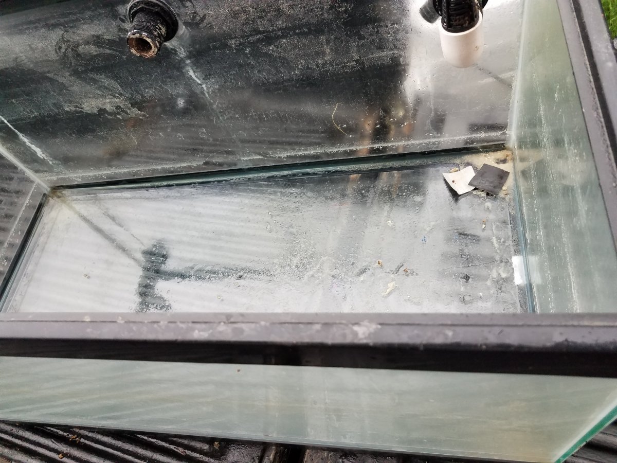 20181001_150244.jpg