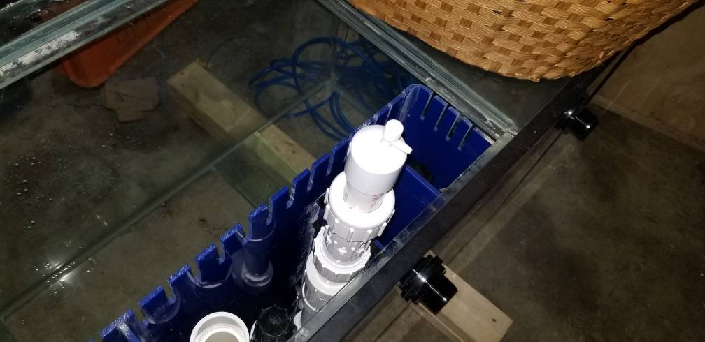20181001_174243.jpeg