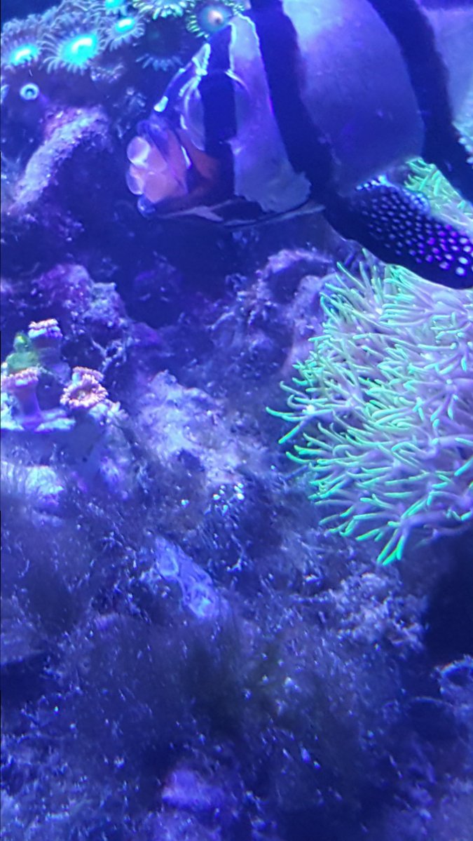 20181002_140012.jpg