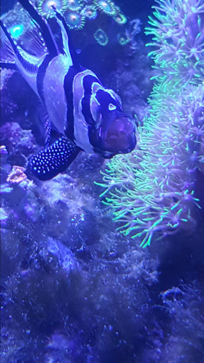 20181002_140016.jpg