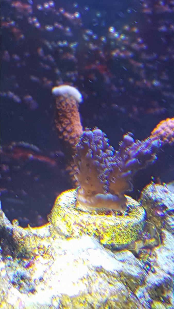 20181002_172350.jpg