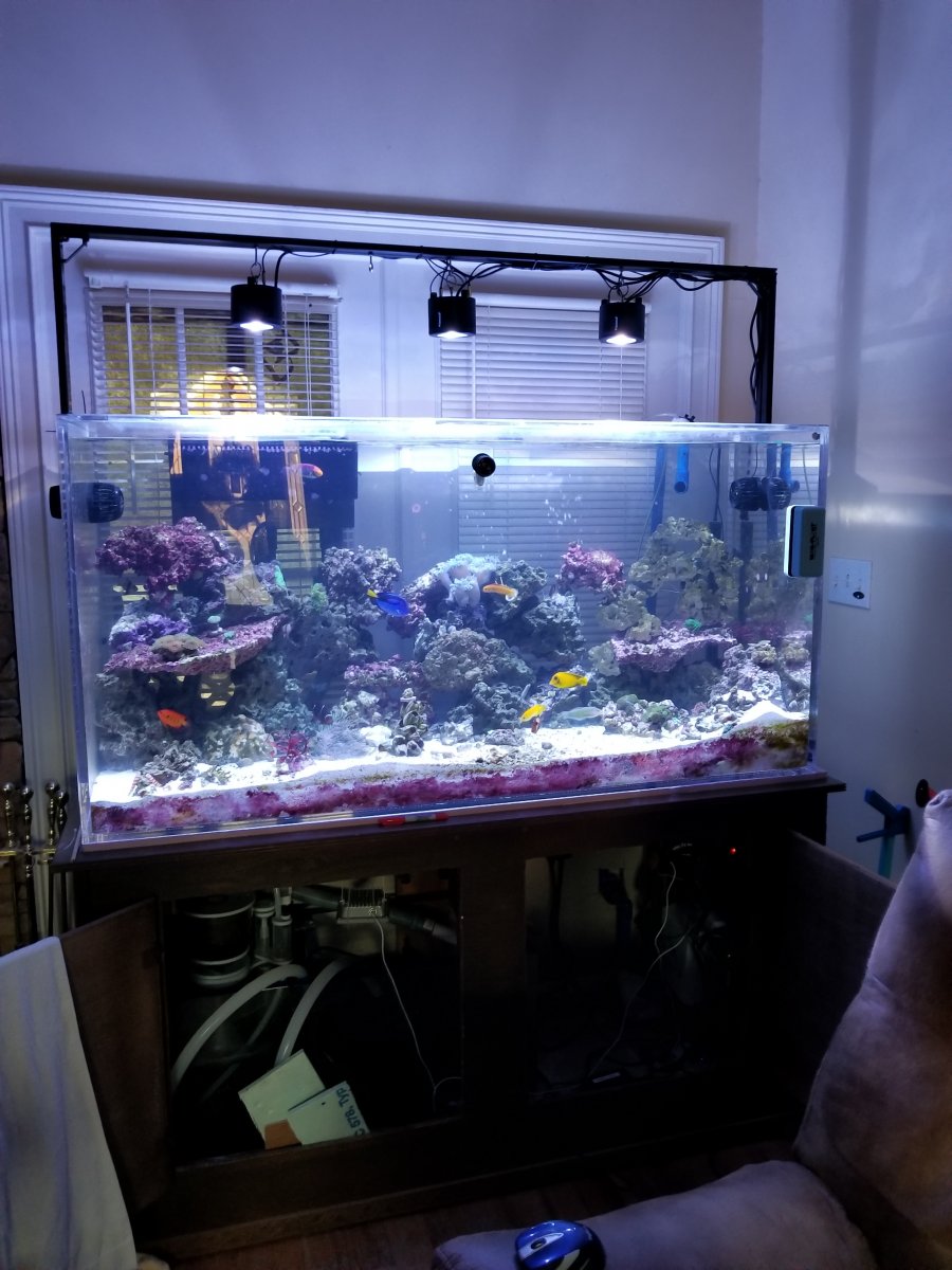 20181002_184101.jpg