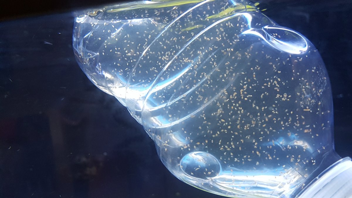20181003_133103.jpg