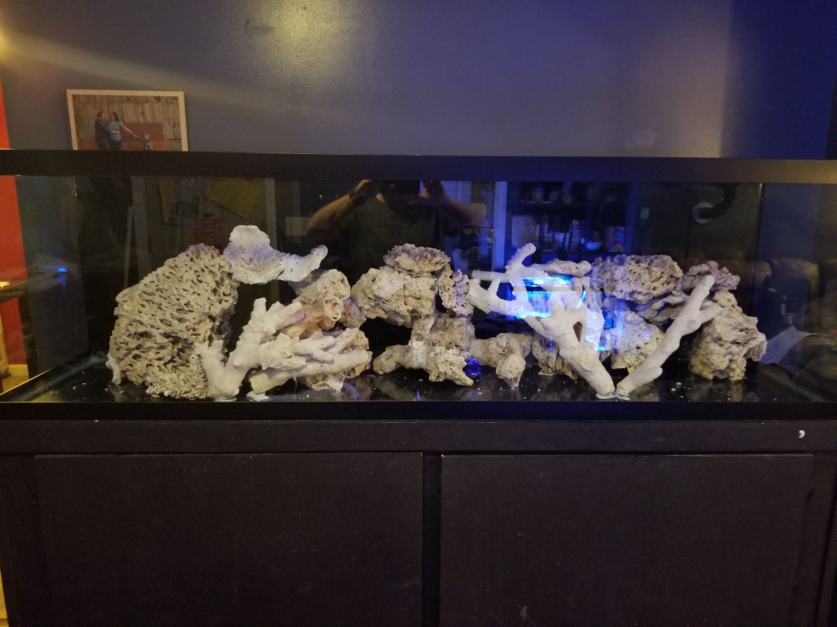 20181003_204834.jpg