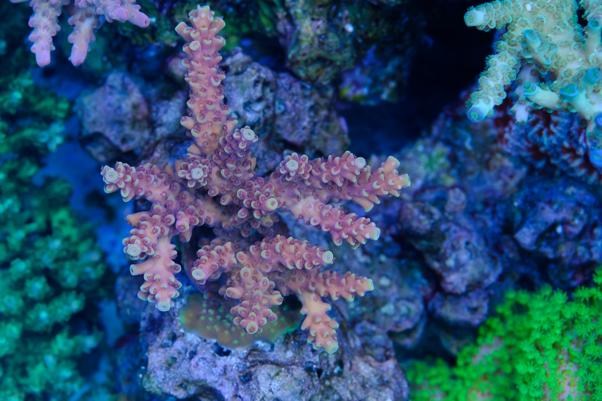 20181005-DSCF3731.JPG