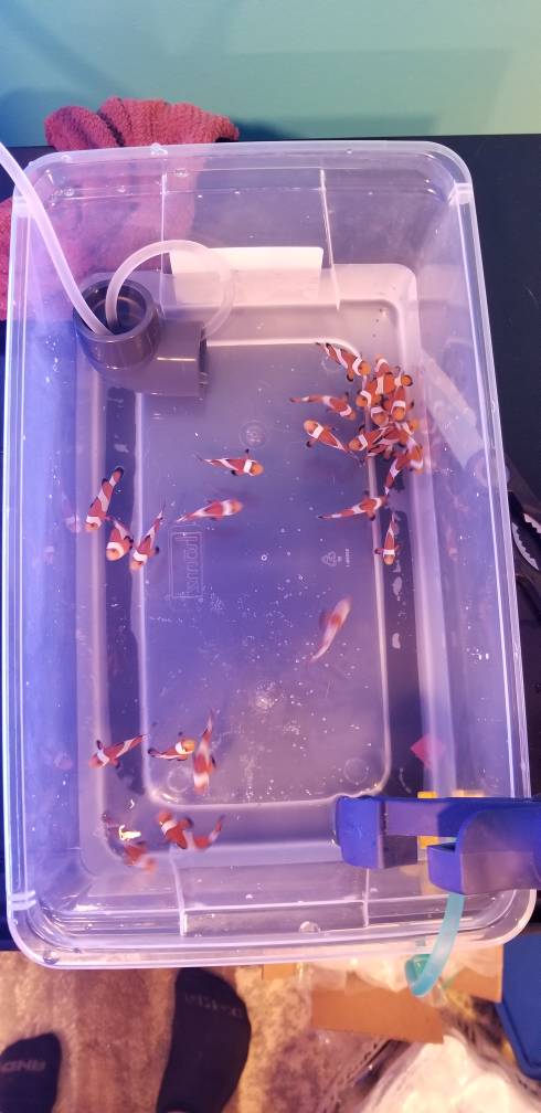 20181005_154607.jpeg