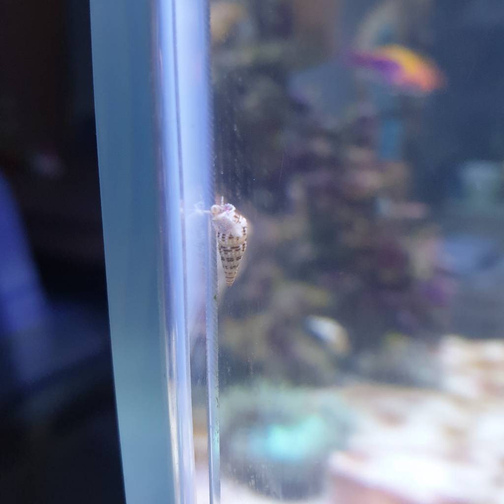 20181005_174216.jpeg