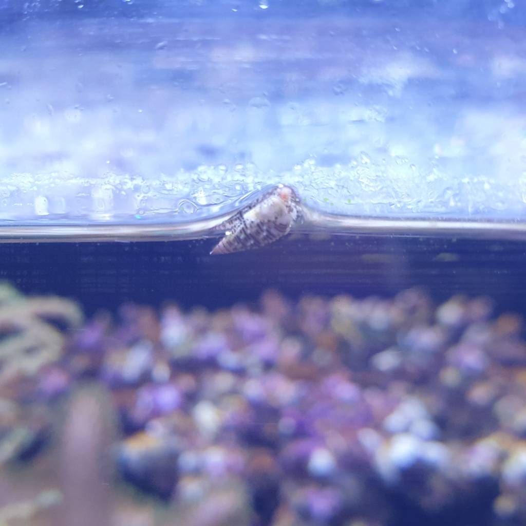 20181005_174255.jpeg